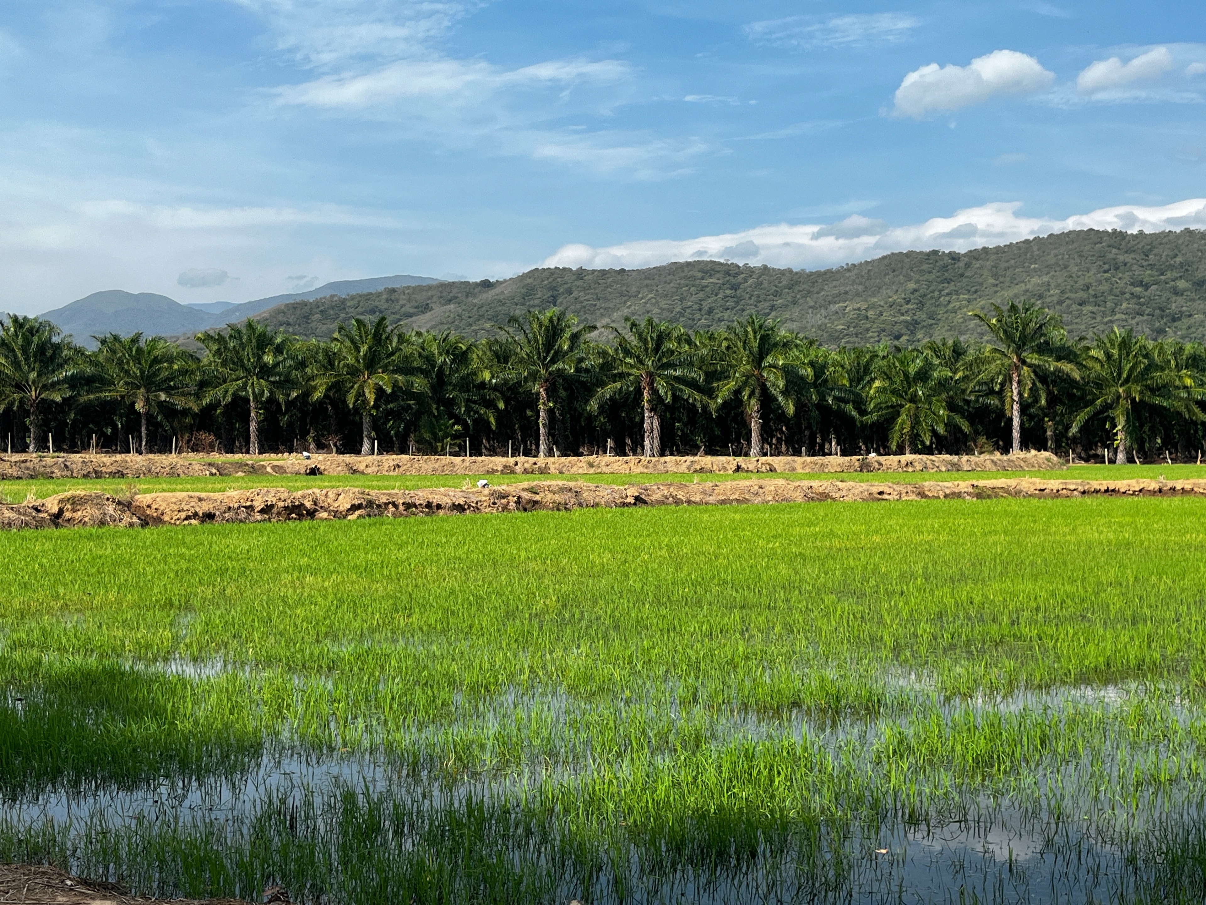 Equipo de Coagronorte — extensionistas y profesionales del agro